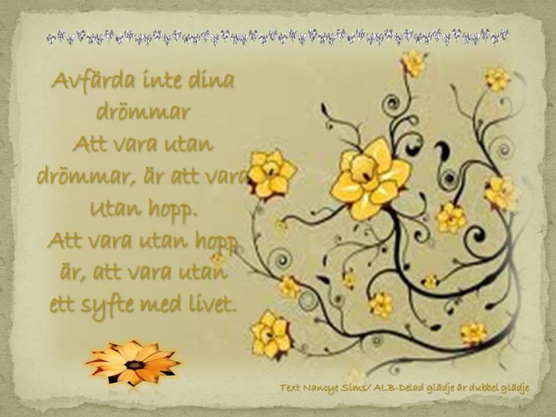 Avfärda inte dina drömmar