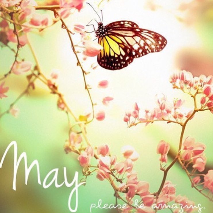 13102702_10208098535133156_8169018383976874322_n