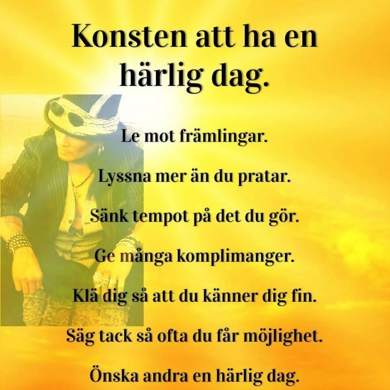 konsten att ha en härlig dag