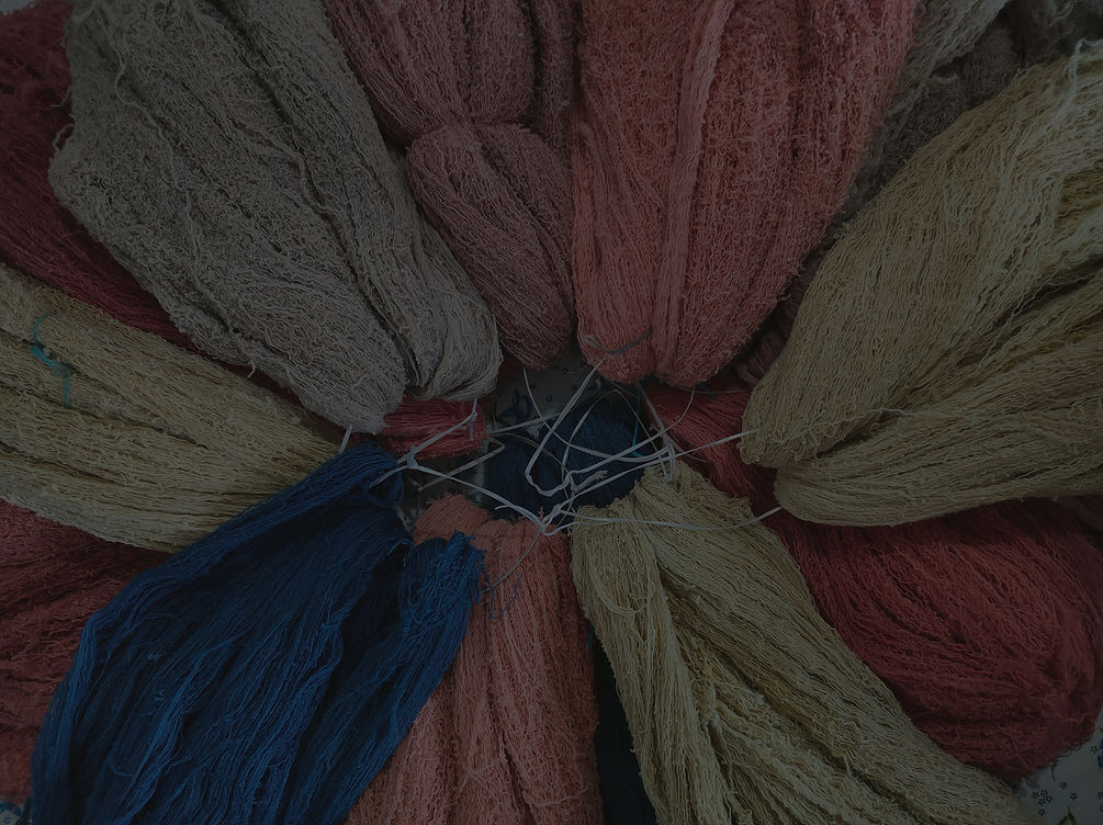 Gandhigram Sari Weaver.png