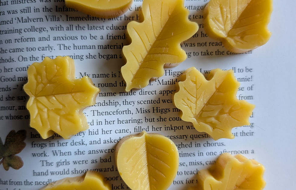 Understanding Beeswax Bloom: What It Is, Why It's Beneficial, and How to Clean It Off