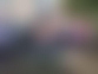 «Вот капуста, вот горох – урожай у нас не плох»