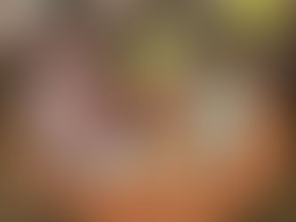 Познавательные занятия в «Ивушке»