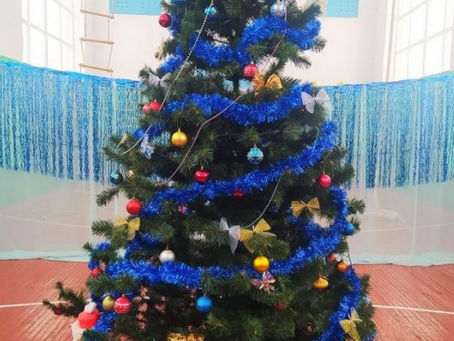 В Северо-Гундоровском УВК к Новому Году готовы