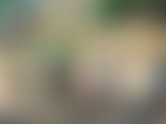 Спортивное развлечение в «Ивушке»