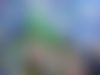 День фруктов и овощей