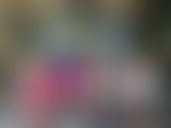 День знаний в «Ивушке»