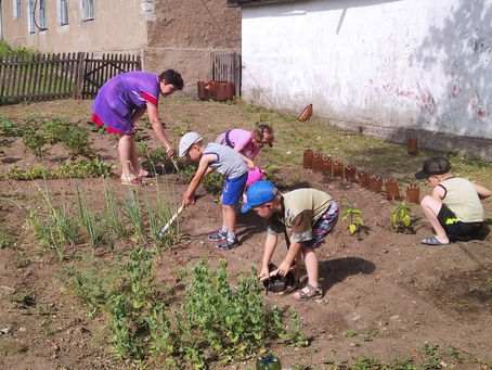 Огород – это не только свежие овощи и кладезь витаминов