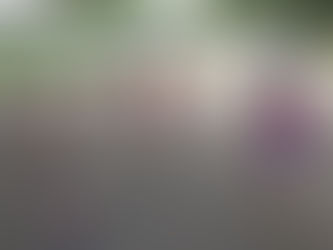 Наш девиз - сильные, смелые, ловкие