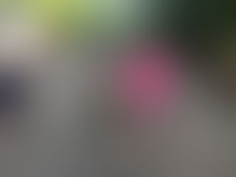 Игры нашего двора осваивали в «Ивушке»