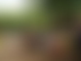 День Семьи, Любви и Верности в детском саду «Дюймовочка»