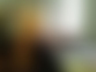 «Путешествие в страну интересных книг»