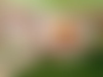 Подведение итогов акции «Плакат победы»