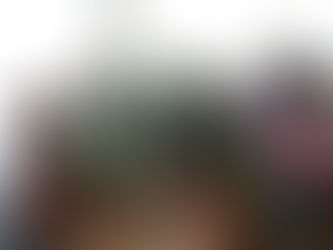 Первый урожай