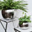 Thumbnail: Moroccan Style Hammered Plant Bowl in Silver