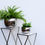 Thumbnail: Moroccan Style Hammered Plant Bowl in Silver