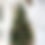 Thumbnail: Wicker Stag Head and Christmas Tree