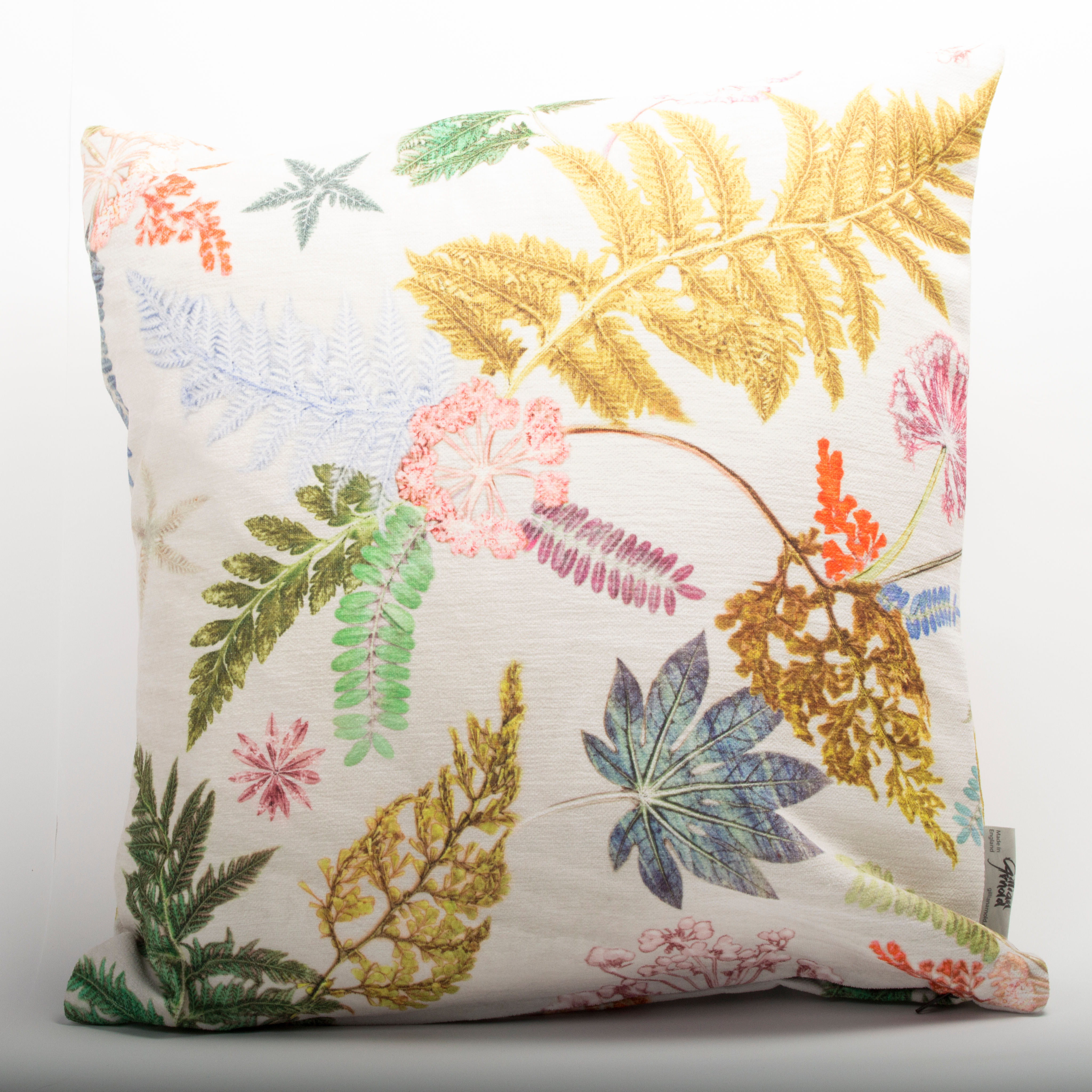 Gillian Arnold Now That's Something 4