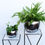 Thumbnail: Moroccan Style Hammered Plant Bowl in Silver