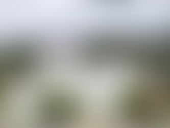 Holiday Clean-Up: Why Now’s the Time to Book