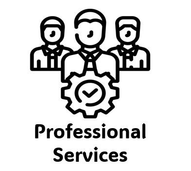 Professional Services
