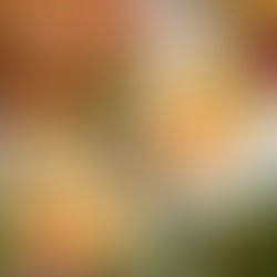 Ano, jídlo u nás je výborné. Ale to není všechno.