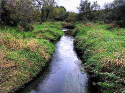 Otter%20Creek_edited