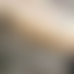 Fusil d'assaut Halo - 03 Janvier 2021