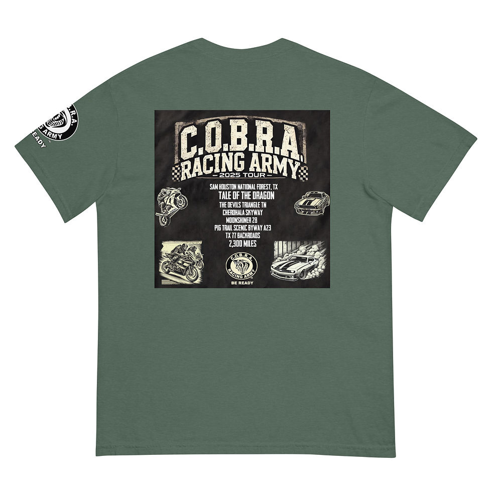 Thumbnail: C.O.B.R.A. Summer Ride – Tail of the Dragon 2025 heavyweight t-shirt