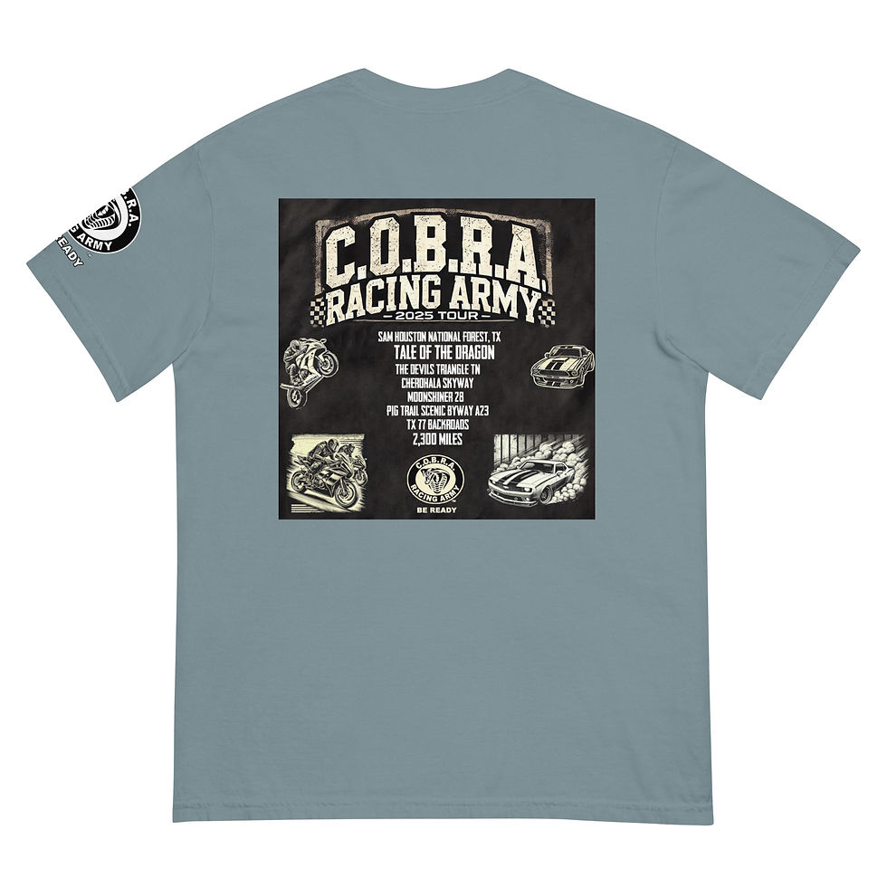 Thumbnail: C.O.B.R.A. Summer Ride – Tail of the Dragon 2025 heavyweight t-shirt