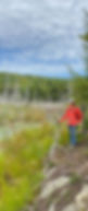 beaverpond.jpg