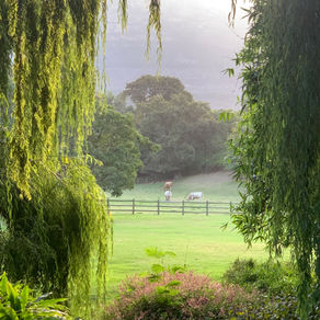 Africa: Enjoying the Splendour of Safari