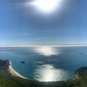 Portugal: Food, Fado and Falling Face Over **** in Lisbon
