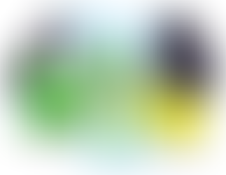 The Benefits of Supporting Green Initiatives in Your Community