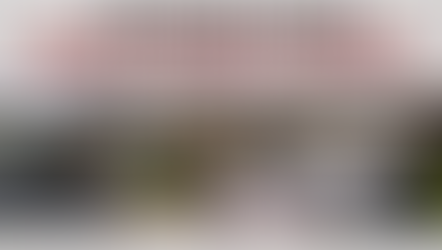 Different Roles Require Different Judgment