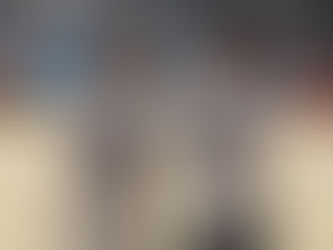 German Gymnastics League Success