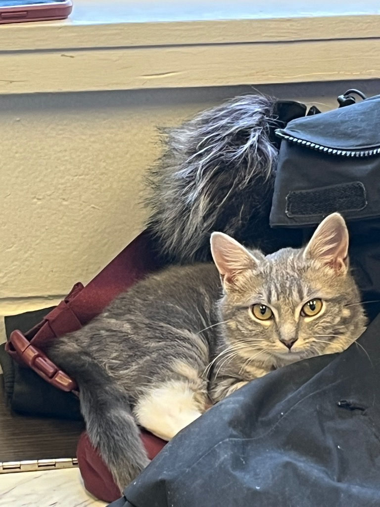 Alpina Getting Snuggly