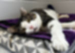Cheeks Chilling.jpg