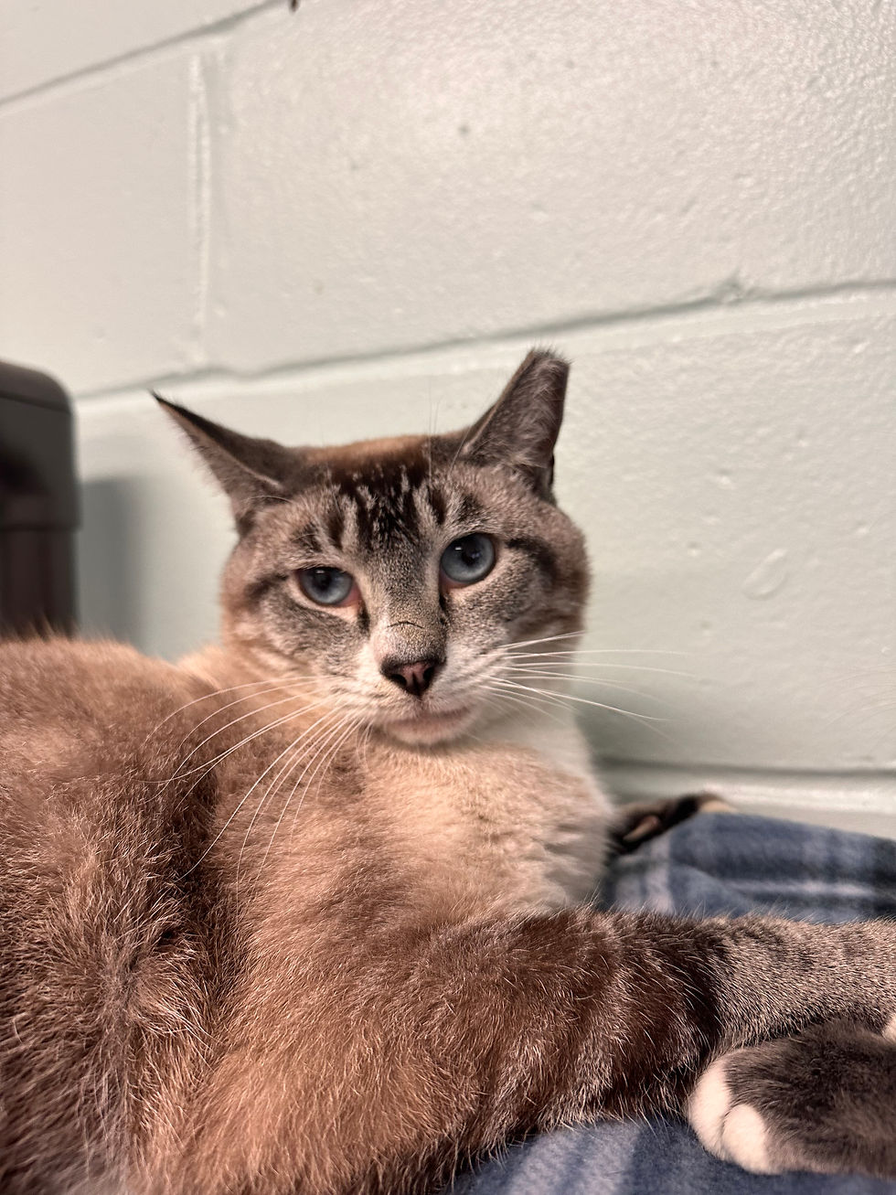 Grover IS So Handsome