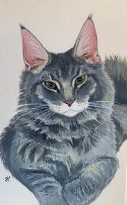 Herzmalerei, Tierportrait, Tierportraits, Tierzeichnung, Malerei, Tiere, Basel, Solothurn, Aargau, Acryl, Tierbilder