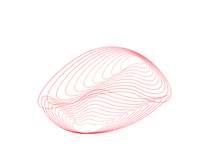 11.png