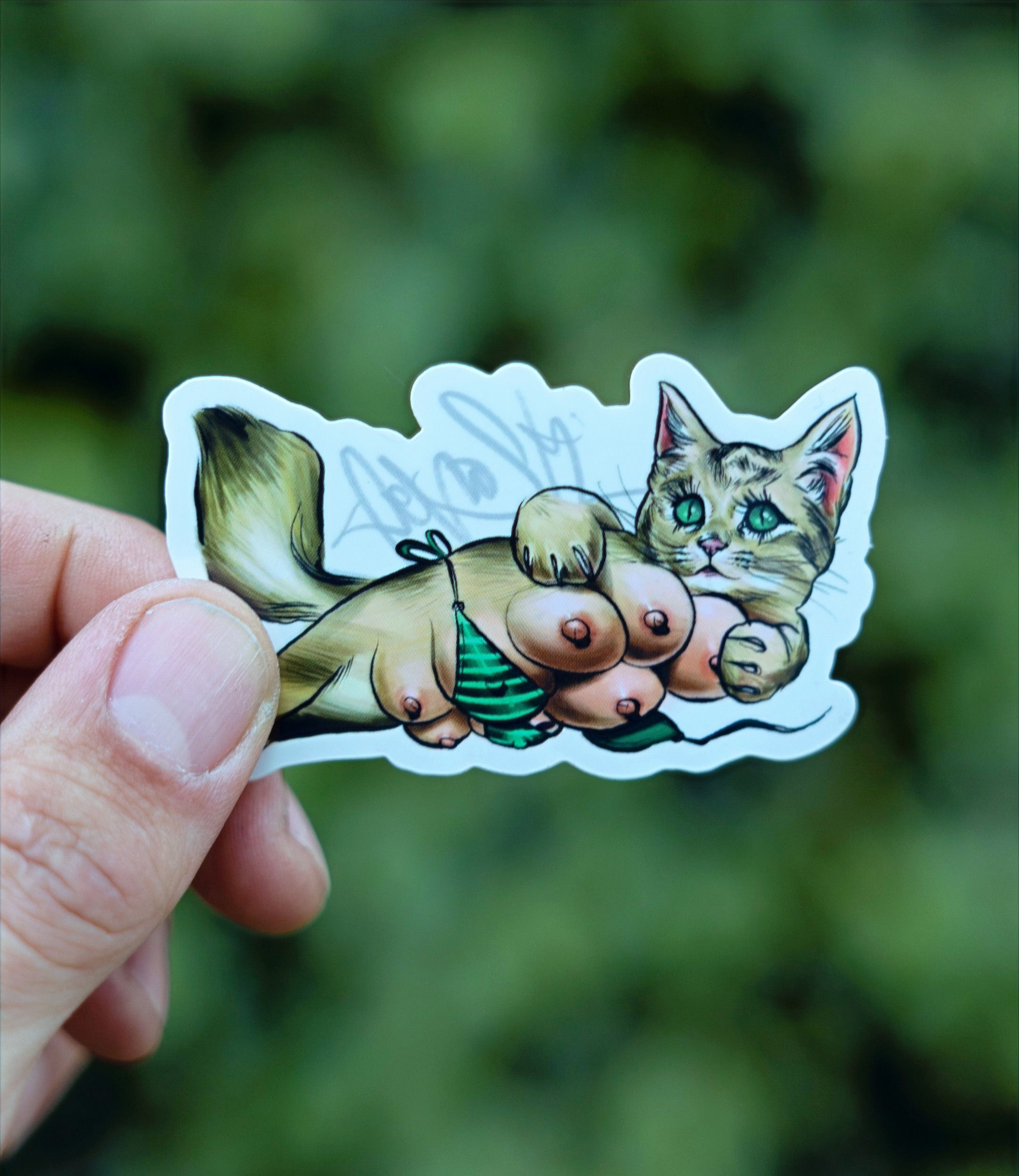 KITTY TITTIES