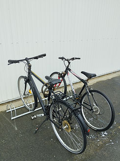 IMG_20240126_141751.jpg