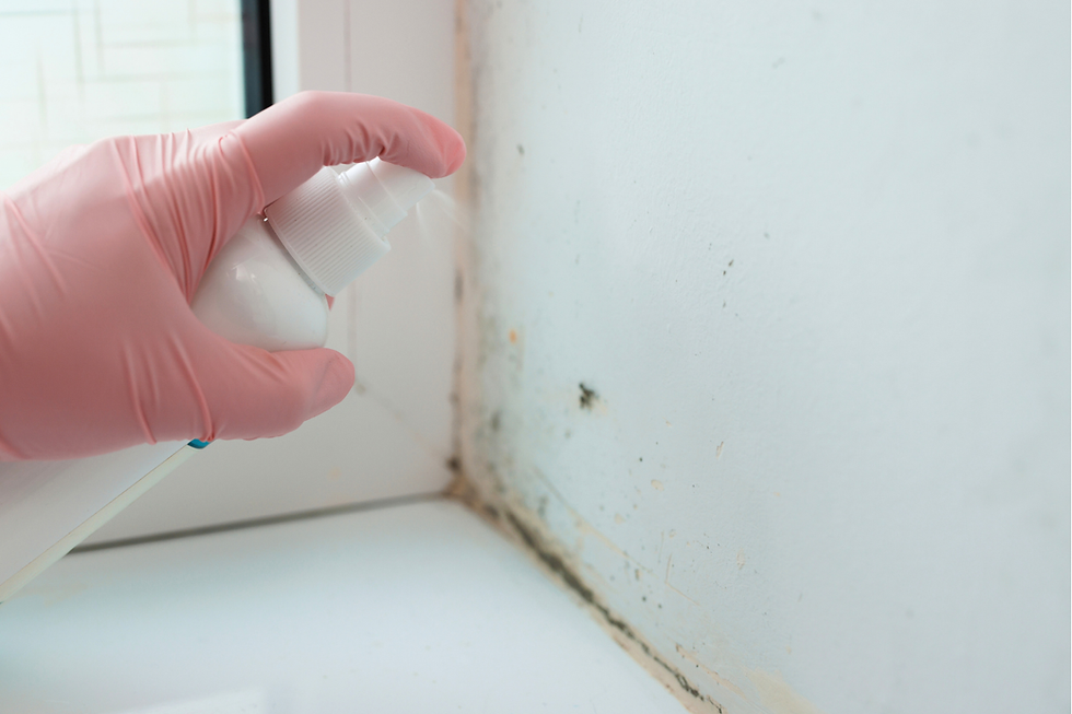 Why does mould appear?