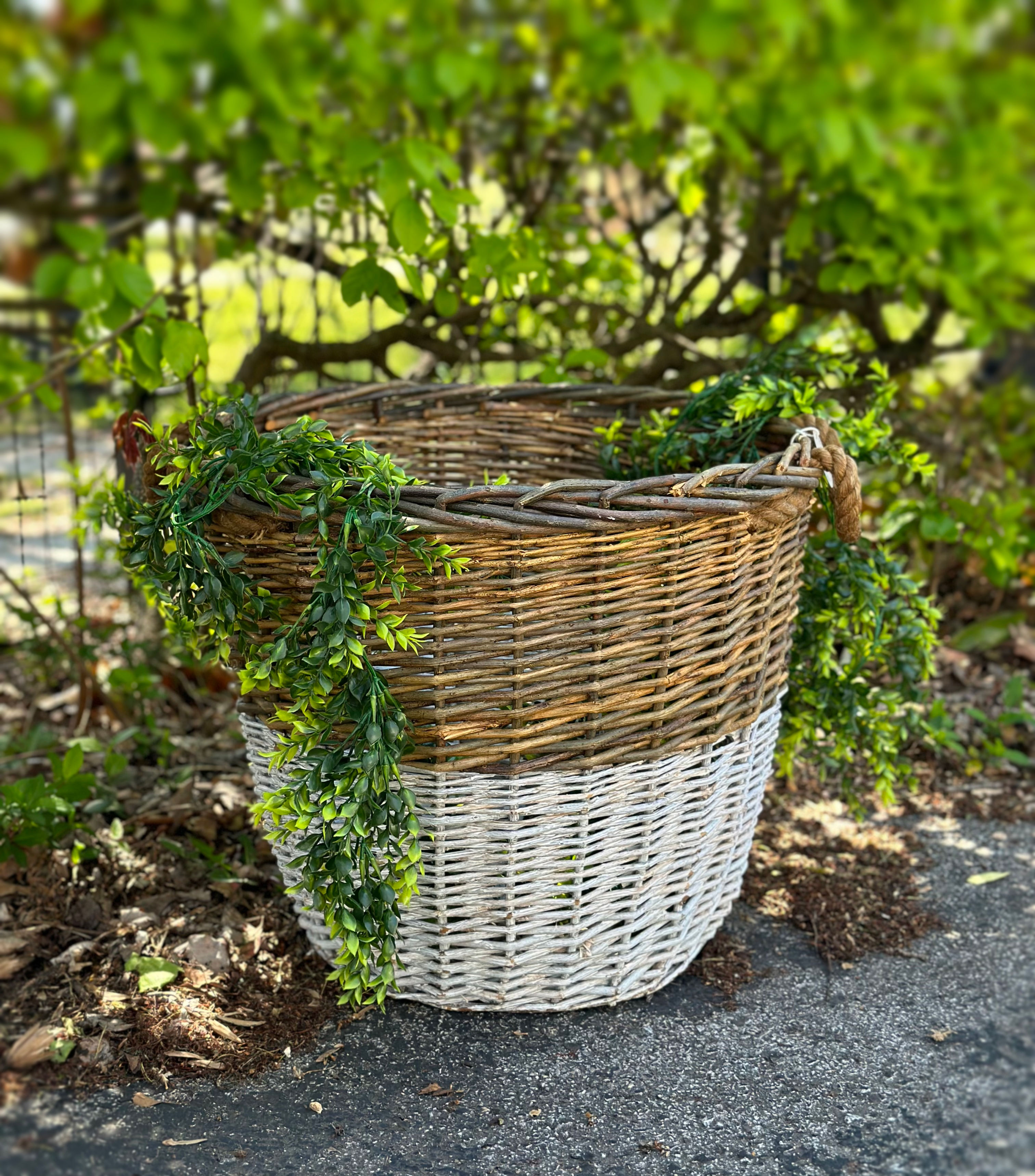 Two Tone Willow Basket-Large 