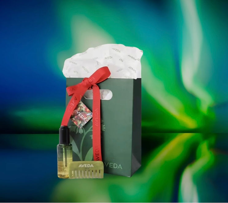 Aveda Liquid Gold Gift Set | Benton House Designs