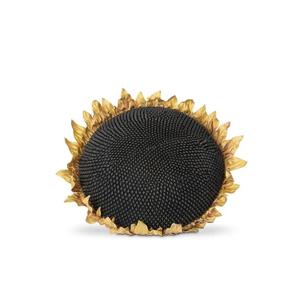 SUNFLOWER HEAD