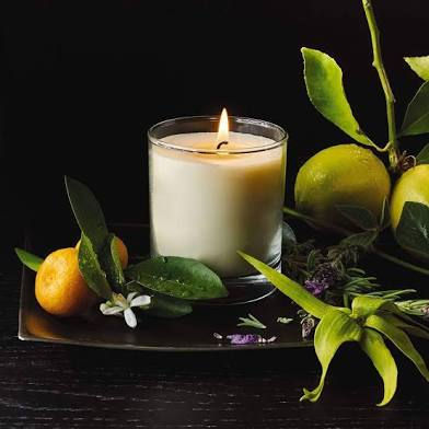 Aveda Shampure Vegan Soy Wax Candle 