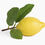 Thumbnail: Lemon with Leaf