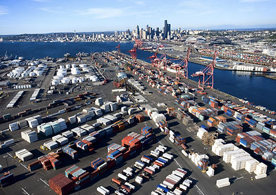 cargo care customs clearance services
